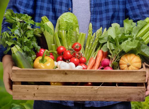 What are organic? All You Need to Know