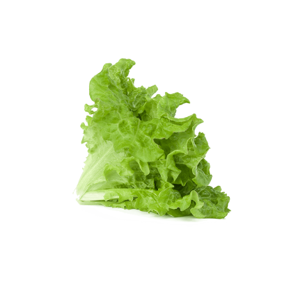 Green Lettuce