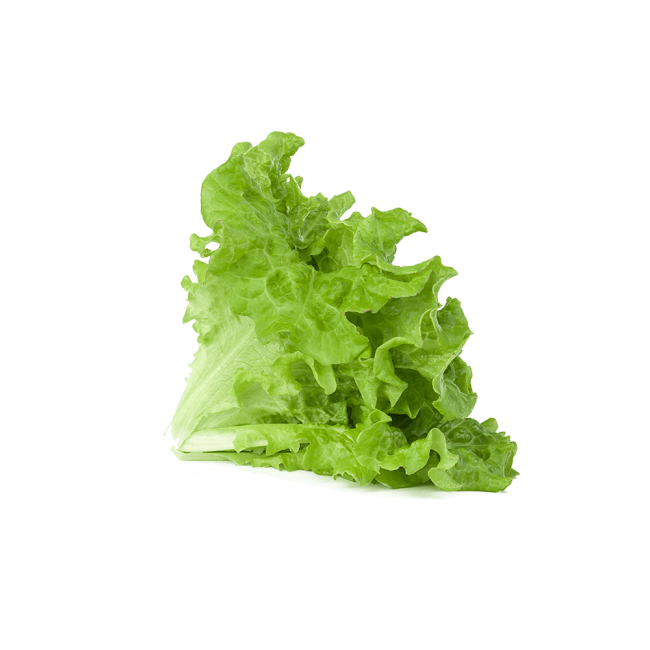 Green Lettuce